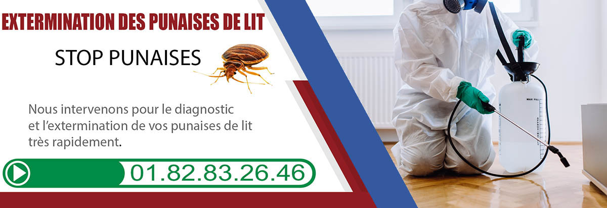 Punaises de Lit Carrieres sous Poissy 78955